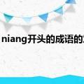 niang开头的成语的意思