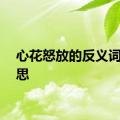 心花怒放的反义词的意思