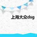 上海大众dsg