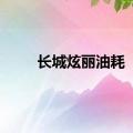 长城炫丽油耗