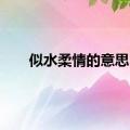 似水柔情的意思