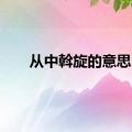 从中斡旋的意思