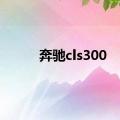 奔驰cls300