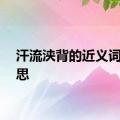 汗流浃背的近义词的意思