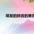 萌发的拼音的意思