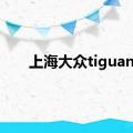 上海大众tiguan