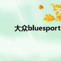 大众bluesport