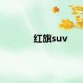 红旗suv