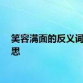 笑容满面的反义词的意思