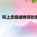 陌上柔桑破嫩芽的意思