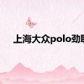 上海大众polo劲取