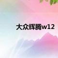 大众辉腾w12