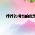 莽莽的拼音的意思