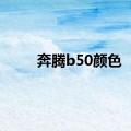 奔腾b50颜色