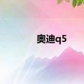 奥迪q5