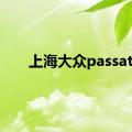 上海大众passat