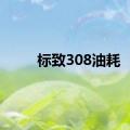 标致308油耗