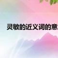 灵敏的近义词的意思