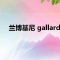 兰博基尼 gallardo