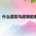 什么是鸵鸟政策的意思