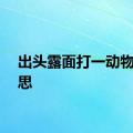 出头露面打一动物的意思