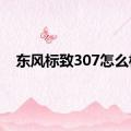 东风标致307怎么样