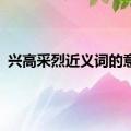 兴高采烈近义词的意思