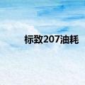 标致207油耗