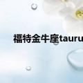 福特金牛座taurus