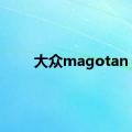 大众magotan