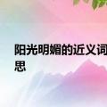 阳光明媚的近义词的意思