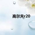 高尔夫r20