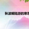 秋波媚陆游的意思