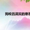 狗咬吕洞宾的意思