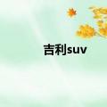 吉利suv