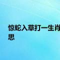 惊蛇入草打一生肖的意思