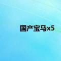 国产宝马x5