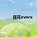 莲花evora