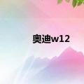 奥迪w12