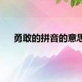 勇敢的拼音的意思