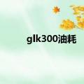 glk300油耗