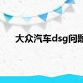 大众汽车dsg问题