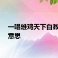 一唱雄鸡天下白教案的意思