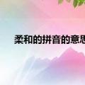 柔和的拼音的意思