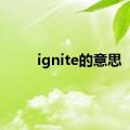 ignite的意思