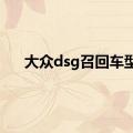 大众dsg召回车型