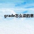 grade怎么读的意思