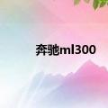 奔驰ml300