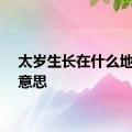 太岁生长在什么地方的意思