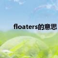 floaters的意思